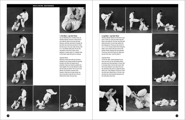 Sample pages from 'The Art of Ground Fighting'; one in a series of remarkable books that provide an in-depth look at the core concepts and techniques shared by a broad range of martial arts styles. Contains basics plus over 195 practical skills including chokes, joint locks, pins, ground kicks, sacrifice techniques, escapes, and counters from seated, reclining, and kneeling positions.