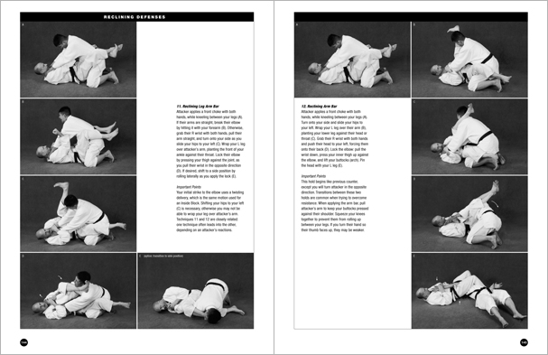 Sample pages from 'The Art of Ground Fighting'; one in a series of remarkable books that provide an in-depth look at the core concepts and techniques shared by a broad range of martial arts styles. Contains basics plus over 195 practical skills including chokes, joint locks, pins, ground kicks, sacrifice techniques, escapes, and counters from seated, reclining, and kneeling positions.