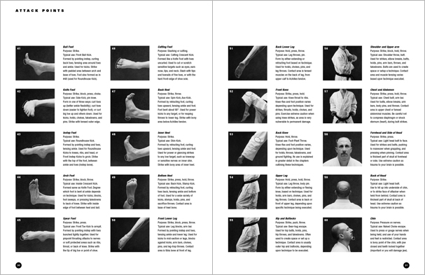 Sample pages from 'The Art of Striking'; one in a series of remarkable books that provide an in-depth look at the core concepts and techniques shared by a broad range of martial arts styles. Contains over 400 practical strikes including arm strikes, kicks, head butts, blocking and avoiding skills, combinations, and counters.