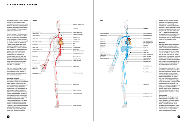 Sample pages from 'Essential Anatomy for Healing and Martial Arts'; a unique book that familiarizes healing practitioners and martial artists with basic concepts of the human body, as defined by both Western and Eastern medical traditions. Comprehensive, easy to understand, and lavishly illustrated in full color. Specially designed for students, healing professionals, and martial artists.