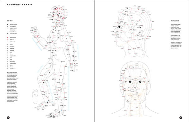 Sample pages from 'Essential Anatomy for Healing and Martial Arts'; a unique book that familiarizes healing practitioners and martial artists with basic concepts of the human body, as defined by both Western and Eastern medical traditions. Comprehensive, easy to understand, and lavishly illustrated in full color. Specially designed for students, healing professionals, and martial artists.