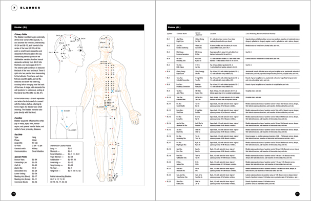 Sample pages from 'Essential Anatomy for Healing and Martial Arts'; a unique book that familiarizes healing practitioners and martial artists with basic concepts of the human body, as defined by both Western and Eastern medical traditions. Comprehensive, easy to understand, and lavishly illustrated in full color. Specially designed for students, healing professionals, and martial artists.