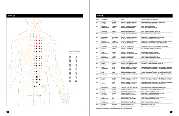 Sample pages from 'Essential Anatomy for Healing and Martial Arts'; a unique book that familiarizes healing practitioners and martial artists with basic concepts of the human body, as defined by both Western and Eastern medical traditions. Comprehensive, easy to understand, and lavishly illustrated in full color. Specially designed for students, healing professionals, and martial artists.