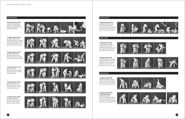 Sample pages from Hapkido Manuals by Marc Tedeschi, an invaluable series of concise affordable study-guides summarizing all Hapkido belt ranks, from novice to master-level.