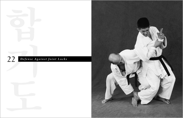 Sample pages from 'Hapkido', the most comprehensive book ever written on a single martial art; 1136 pages, 9000 photos, 2000 martial techniques.