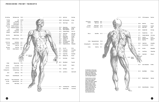 Sample pages from 'Hapkido: An Introduction to the Art of Self-Defense', the first introductory text to provide a concise overview of Hapkido in its entirety, with essential material for novices.