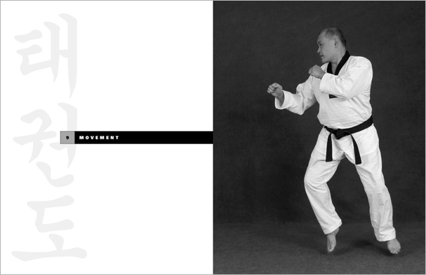 Sample pages from 'Taekwondo', the most comprehensive book ever written on the world's most popular martial art; 896 pages, 8600 photos, Traditional and Olympic-Style.