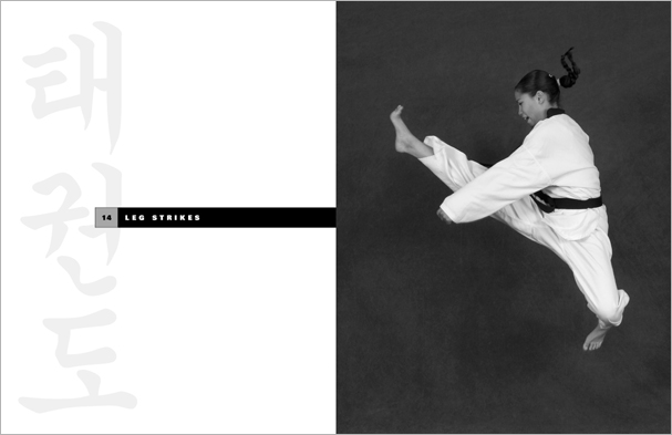 Sample pages from 'Taekwondo', the most comprehensive book ever written on the world's most popular martial art; 896 pages, 8600 photos, Traditional and Olympic-Style.