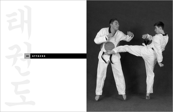 Sample pages from 'Taekwondo', the most comprehensive book ever written on the world's most popular martial art; 896 pages, 8600 photos, Traditional and Olympic-Style.