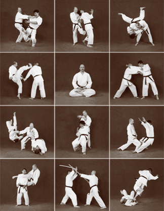 Photos of Hapkido techniques performed by Master Marc Tedeschi