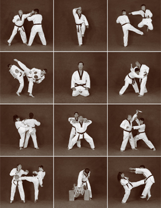 taekwondo techniques pdf