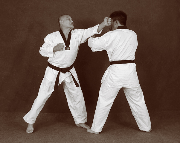 Hapkido photos of Master Marc Tedeschi performing Hapkido techniques